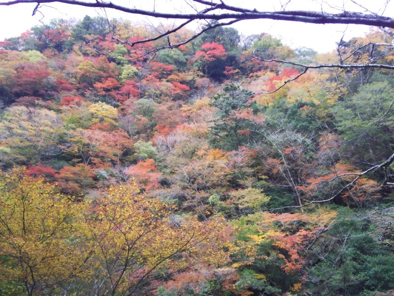 べふ峡　in 香美市