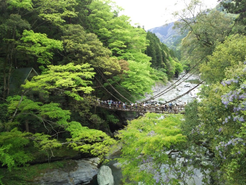 祖谷のかずら橋　in 徳島県三好市