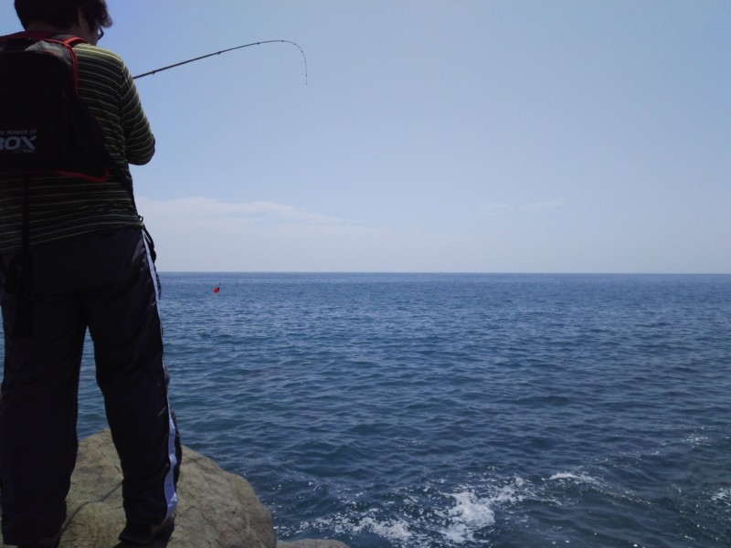 釣り　in 安芸市 ⇒ 香南市